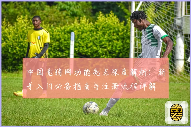 中国竞猜网功能亮点深度解析：新手入门必备指南与注册流程详解